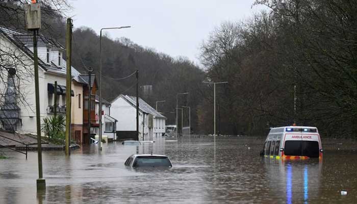 Services 26 service6 Cannabis Insurance Cost