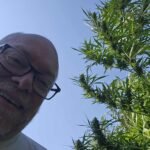 Cannabis Cultivation – From Seed to Harvest, We’ve Got You Covered