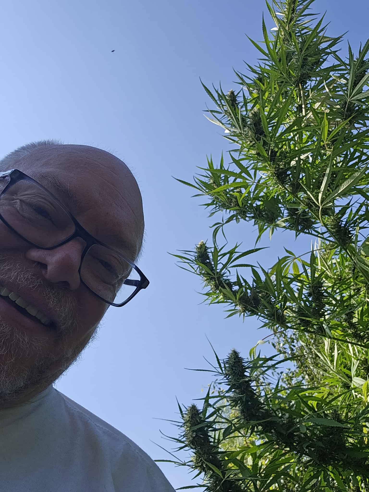 Cultivation Insurance